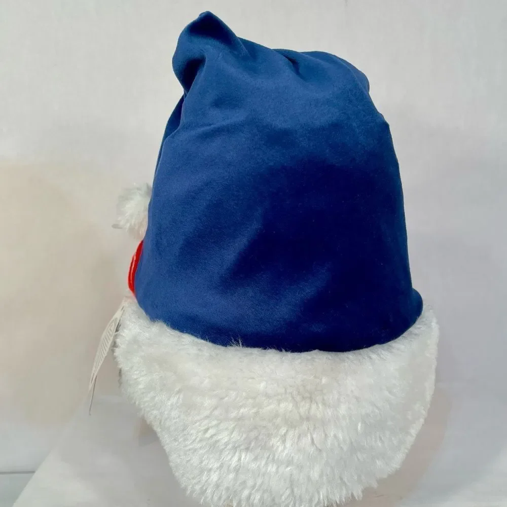 Red Sox World Series Champions Santa Hat
